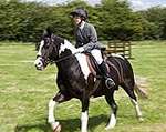 Wanborough Horse and Dog show